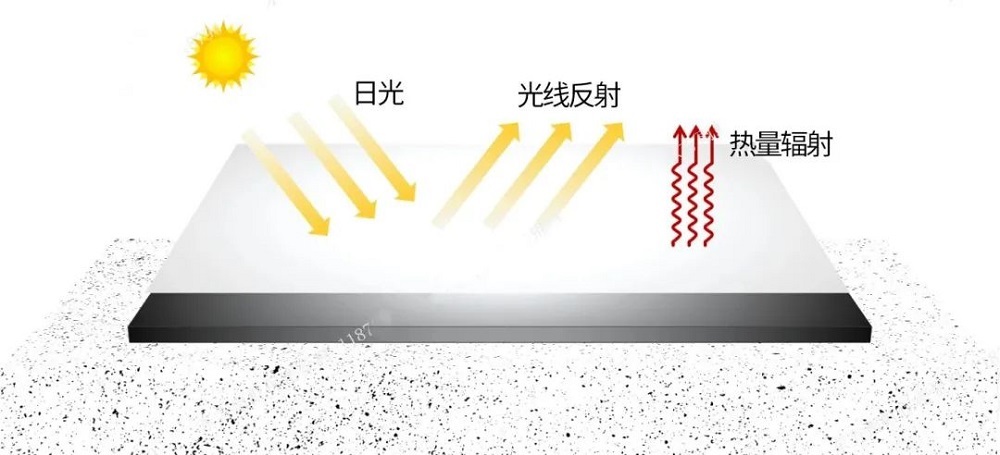 1_241015170117_1 首页- 新宝GG集团创造事业平台